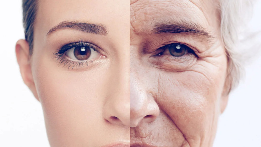 Secrets to a Slower Aging Process
